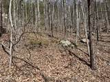  Clingmans View - Photo 4