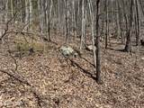  Clingmans View - Photo 5