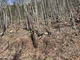  Clingmans View - Photo 6