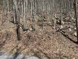  Clingmans View - Photo 7