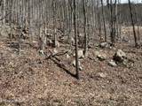  Clingmans View - Photo 8