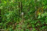 4521 Huffine Rd - Photo 2
