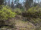 3670 Haven Hill Rd - Photo 4