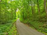  Dunville Gap Rd - Photo 10