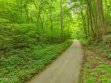  Dunville Gap Rd - Photo 14