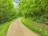  Dunville Gap Rd - Photo 6