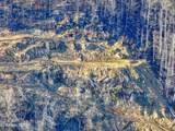  Frost Bottom Rd - Photo 13