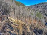  Frost Bottom Rd - Photo 16