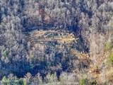  Frost Bottom Rd - Photo 8