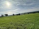 LOT 17 Starling Lane - Photo 3