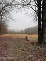 133 Stone Ridge Circle - Photo 10