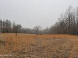 133 Stone Ridge Circle - Photo 8