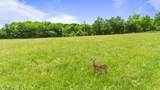  Old Middlesboro Hwy - Photo 2