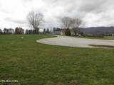148 Auggie Belle Lane - Photo 4