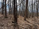  Swann Saddle - Photo 2