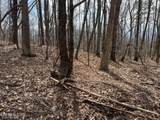  Swann Saddle - Photo 4