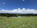 Lot 53 Cottonwood - Photo 6