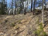  Chestnut Ridge Court - Photo 2