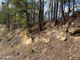  Chestnut Ridge Court - Photo 3