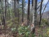  Chestnut Ridge Court - Photo 4