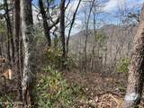  Chestnut Ridge Court - Photo 5