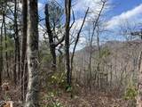  Chestnut Ridge Court - Photo 6