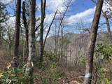  Chestnut Ridge Court - Photo 7