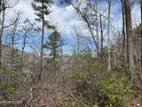  Chestnut Ridge Court - Photo 8