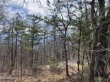  Chestnut Ridge Court - Photo 9