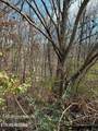 00 Poplar Drive Lot 31 - Photo 10