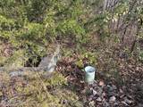 00 Poplar Drive Lot 31 - Photo 2