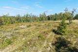  Flat Rock Rd - Photo 2