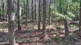 152 Sunset View Lane - Photo 12