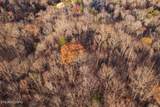  Hiwassee View - Lot 106+107 Drive - Photo 8