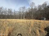 303 Tar Town Hollow Lane - Photo 12