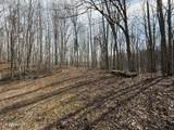 303 Tar Town Hollow Lane - Photo 13