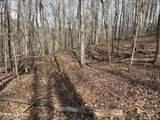303 Tar Town Hollow Lane - Photo 16