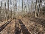 303 Tar Town Hollow Lane - Photo 17