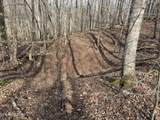 303 Tar Town Hollow Lane - Photo 19