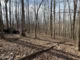 303 Tar Town Hollow Lane - Photo 21