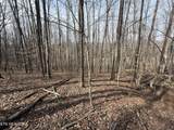303 Tar Town Hollow Lane - Photo 22