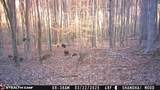 303 Tar Town Hollow Lane - Photo 28