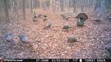 303 Tar Town Hollow Lane - Photo 30