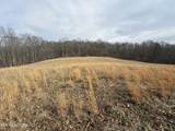 303 Tar Town Hollow Lane - Photo 8
