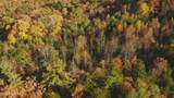 410 Seay Hollow Rd - Photo 10