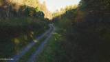 410 Seay Hollow Rd - Photo 22