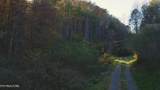 410 Seay Hollow Rd - Photo 23