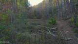 410 Seay Hollow Rd - Photo 29