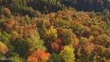 410 Seay Hollow Rd - Photo 9