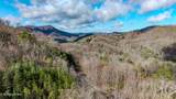  Long Rifle Rd - Photo 6